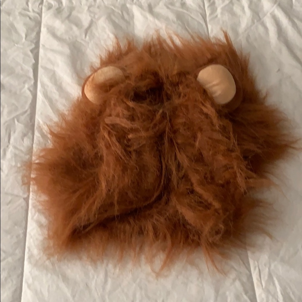 XL Lion Halloween Costume for Dog
